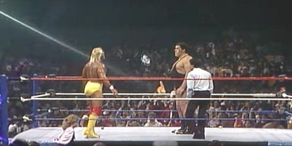 Hogan and Andre